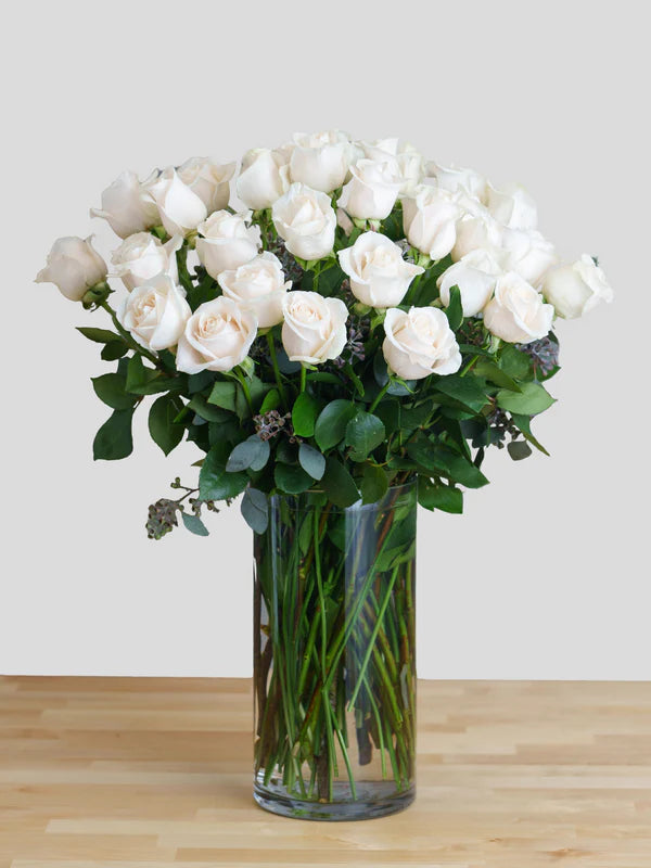 PREMIUM WHITE ROSES