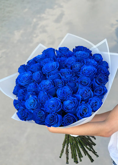 BLUE LAGON ROSES