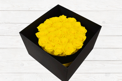 24 LUXURY PRESERVED ROSES YELLOW