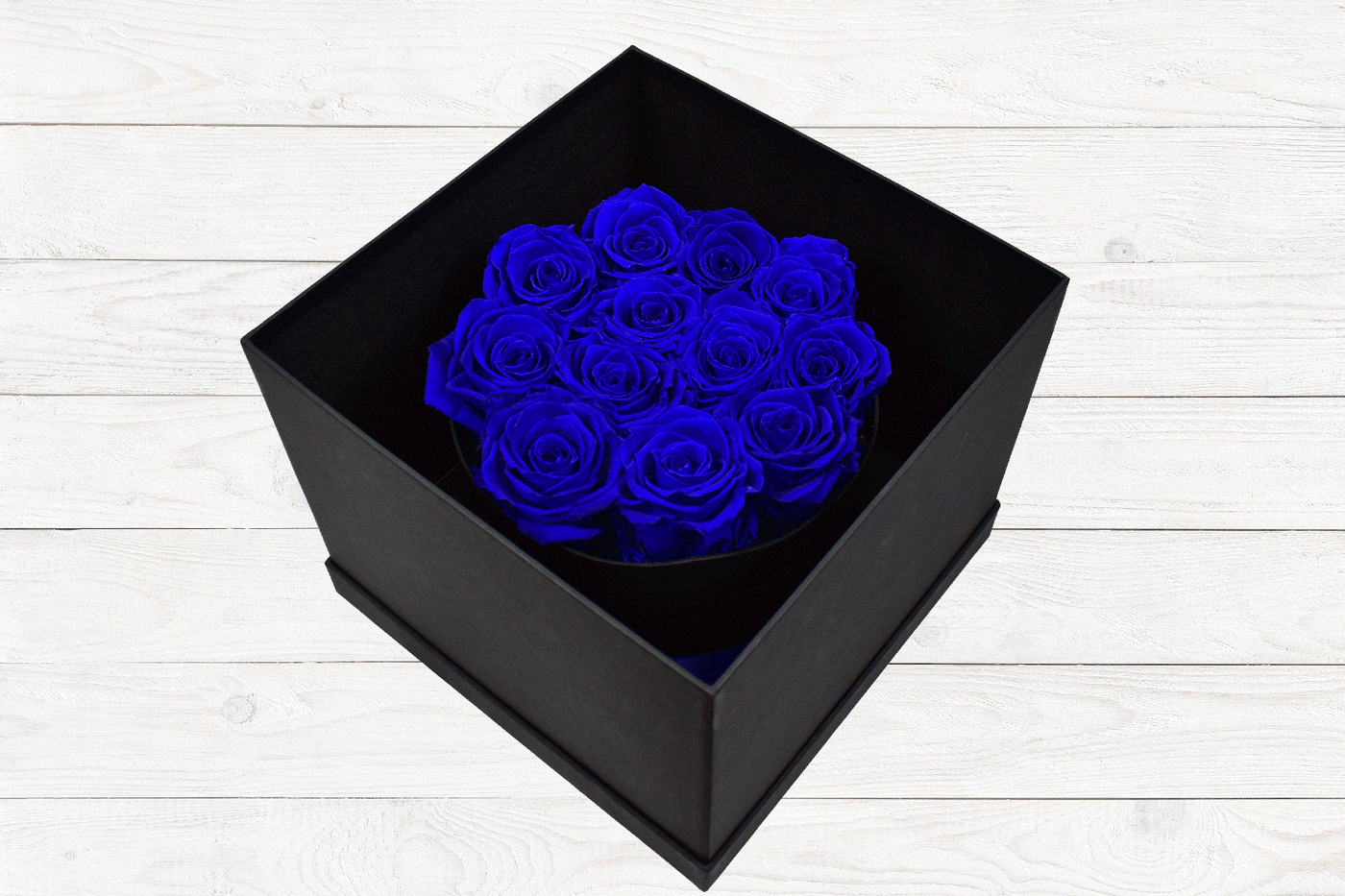 LUXURY PRESERVED ROSES ROYAL BLUE