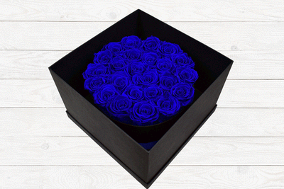 24 LUXURY PRESERVED ROSES ROYAL BLUE