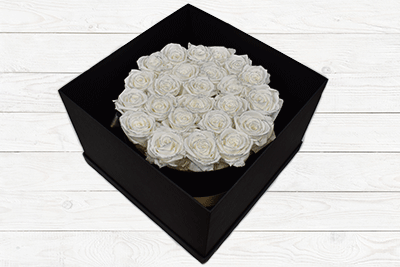 24 LUXURY PRESERVED ROSES WHITE SILVER