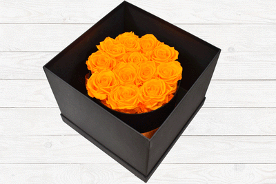 LUXURY PRESERVED ROSES ORANGE