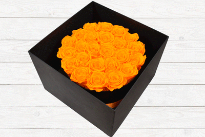 24 LUXURY PRESERVED ROSES ORANGE