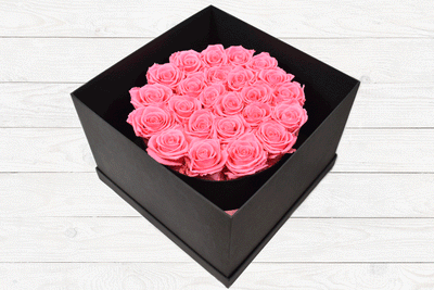 24 LUXURY PRESERVED ROSES PINK