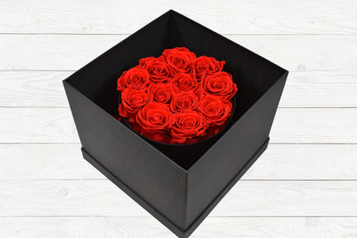 Luxury Preserved Roses Red