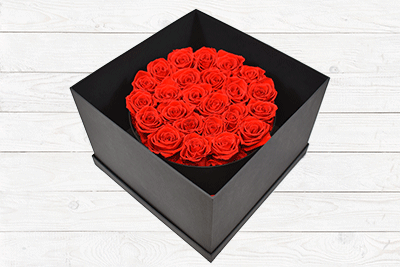 24 LUXURY PRESERVED ROSES RED