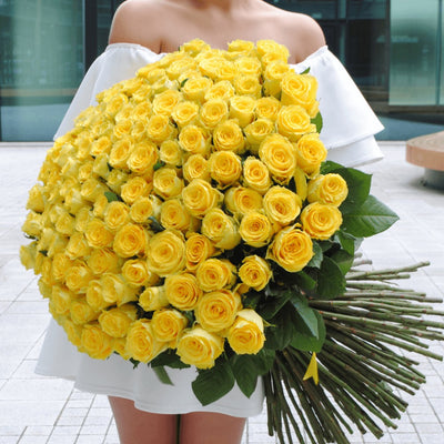 PREMIUM YELLOW ROSES