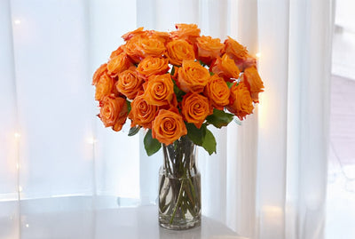 PREMIUM ORANGE ROSES