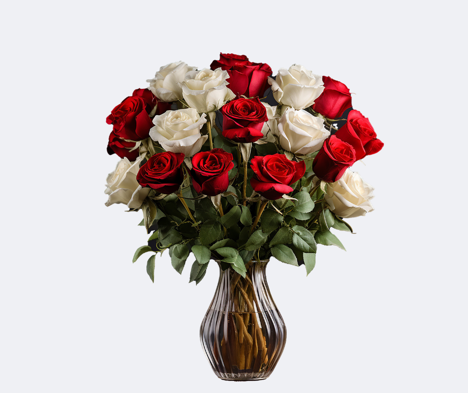 PREMIUM RED & WHITE ROSES