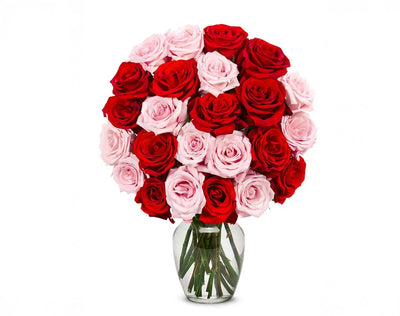 PREMIUM  RED & PINK ROSES